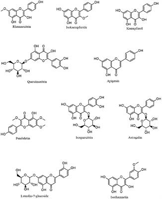 A Computational Approach to Elucidate the Interactions of Chemicals From Artemisia annua Targeted Toward SARS-CoV-2 Main Protease Inhibition for COVID-19 Treatment